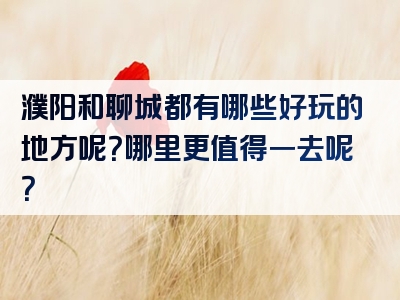 濮阳和聊城都有哪些好玩的地方呢？哪里更值得一去呢？