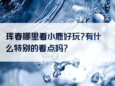 珲春哪里看小鹿好玩？有什么特别的看点吗？