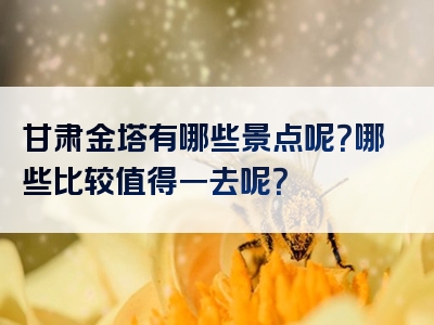 甘肃金塔有哪些景点呢？哪些比较值得一去呢？