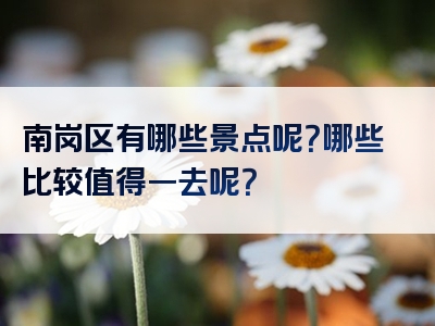 南岗区有哪些景点呢？哪些比较值得一去呢？
