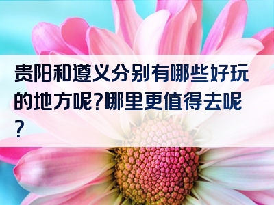 贵阳和遵义分别有哪些好玩的地方呢？哪里更值得去呢？