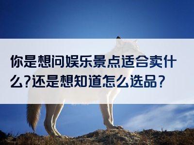 你是想问娱乐景点适合卖什么？还是想知道怎么选品？