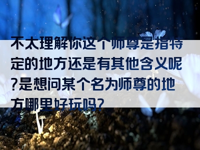 不太理解你这个师尊是指特定的地方还是有其他含义呢？是想问某个名为师尊的地方哪里好玩吗？