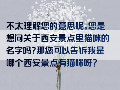 不太理解您的意思呢。您是想问关于西安景点里猫咪的名字吗？那您可以告诉我是哪个西安景点有猫咪呀？