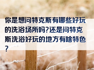 你是想问特克斯有哪些好玩的洗浴场所吗？还是问特克斯洗浴好玩的地方有啥特色？