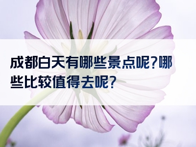 成都白天有哪些景点呢？哪些比较值得去呢？