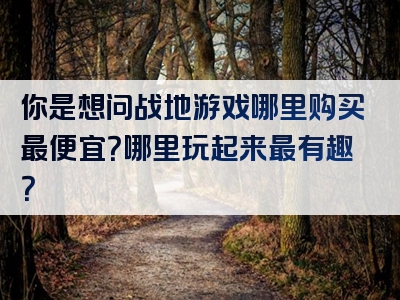 你是想问战地游戏哪里购买最便宜？哪里玩起来最有趣？