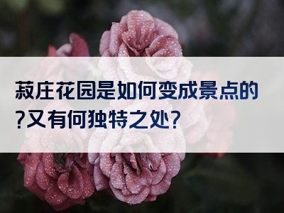 菽庄花园是如何变成景点的？又有何独特之处？