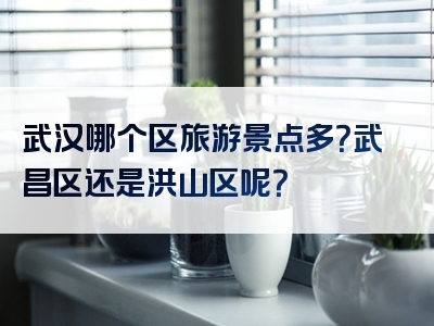武汉哪个区旅游景点多？武昌区还是洪山区呢？