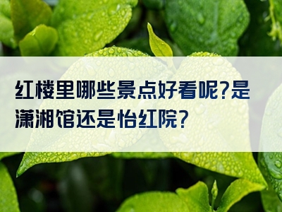 红楼里哪些景点好看呢？是潇湘馆还是怡红院？