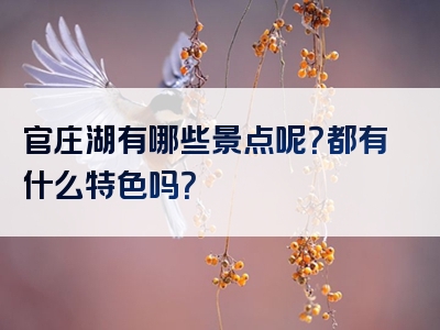 官庄湖有哪些景点呢？都有什么特色吗？