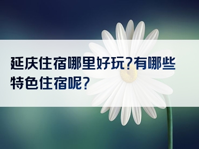 延庆住宿哪里好玩？有哪些特色住宿呢？