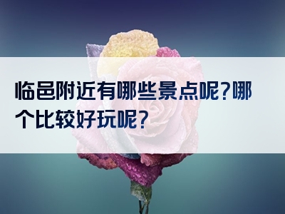 临邑附近有哪些景点呢？哪个比较好玩呢？