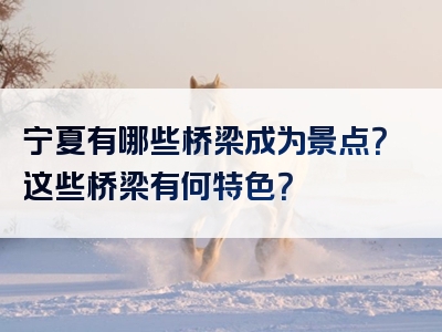 宁夏有哪些桥梁成为景点？这些桥梁有何特色？