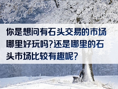 你是想问有石头交易的市场哪里好玩吗？还是哪里的石头市场比较有趣呢？