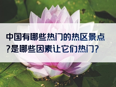 中国有哪些热门的热区景点？是哪些因素让它们热门？