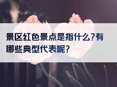 景区红色景点是指什么？有哪些典型代表呢？