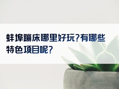 蚌埠蹦床哪里好玩？有哪些特色项目呢？