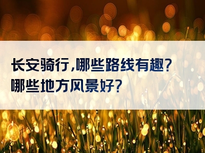 长安骑行，哪些路线有趣？哪些地方风景好？