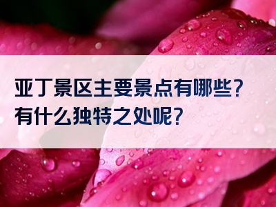 亚丁景区主要景点有哪些？有什么独特之处呢？