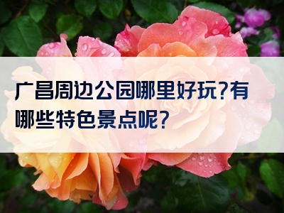 广昌周边公园哪里好玩？有哪些特色景点呢？