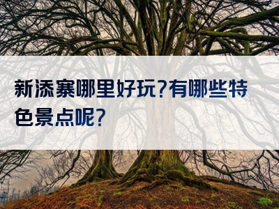 新添寨哪里好玩？有哪些特色景点呢？