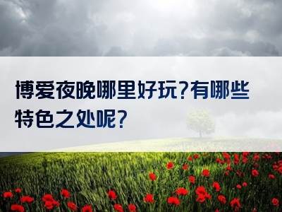 博爱夜晚哪里好玩？有哪些特色之处呢？