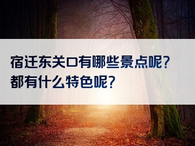 宿迁东关口有哪些景点呢？都有什么特色呢？