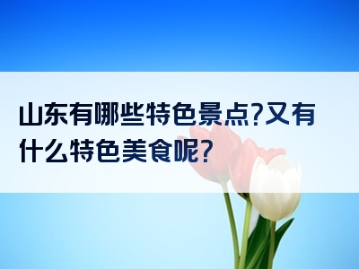 山东有哪些特色景点？又有什么特色美食呢？