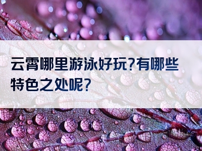 云霄哪里游泳好玩？有哪些特色之处呢？