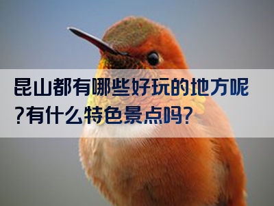 昆山都有哪些好玩的地方呢？有什么特色景点吗？