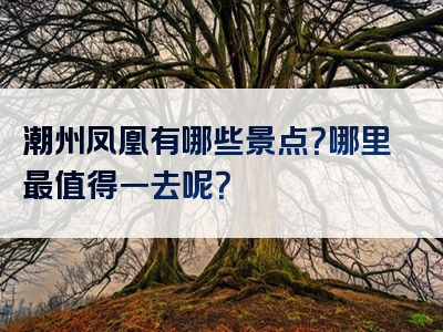 潮州凤凰有哪些景点？哪里最值得一去呢？