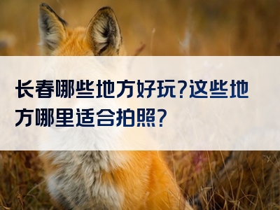 长春哪些地方好玩？这些地方哪里适合拍照？