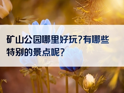 矿山公园哪里好玩？有哪些特别的景点呢？