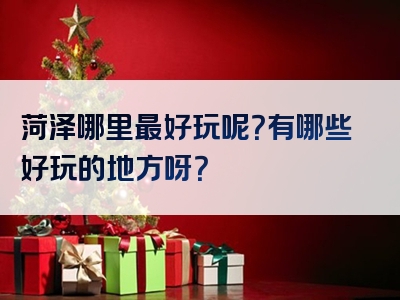 菏泽哪里最好玩呢？有哪些好玩的地方呀？