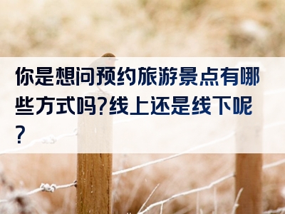 你是想问预约旅游景点有哪些方式吗？线上还是线下呢？