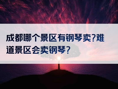 成都哪个景区有钢琴卖？难道景区会卖钢琴？