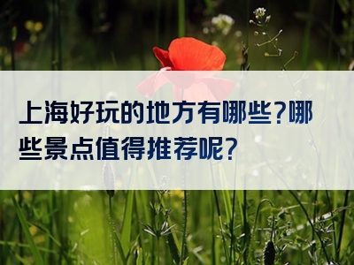 上海好玩的地方有哪些？哪些景点值得推荐呢？