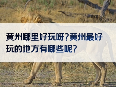 黄州哪里好玩呀？黄州最好玩的地方有哪些呢？