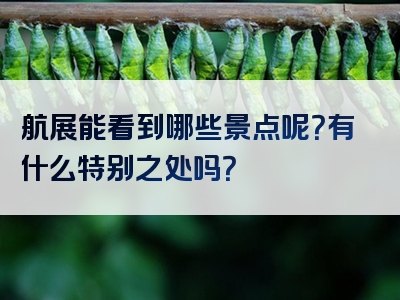 航展能看到哪些景点呢？有什么特别之处吗？