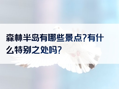 森林半岛有哪些景点？有什么特别之处吗？