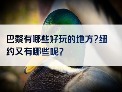 巴黎有哪些好玩的地方？纽约又有哪些呢？