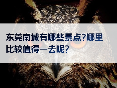 东莞南城有哪些景点？哪里比较值得一去呢？