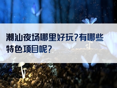 潮汕夜场哪里好玩？有哪些特色项目呢？