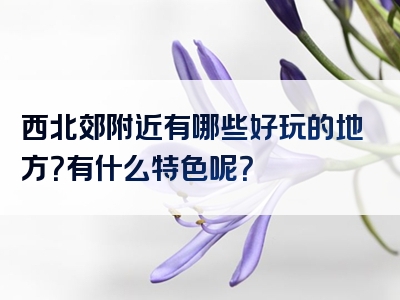 西北郊附近有哪些好玩的地方？有什么特色呢？