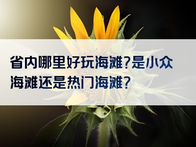 省内哪里好玩海滩？是小众海滩还是热门海滩？