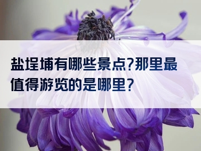 盐埕埔有哪些景点？那里最值得游览的是哪里？