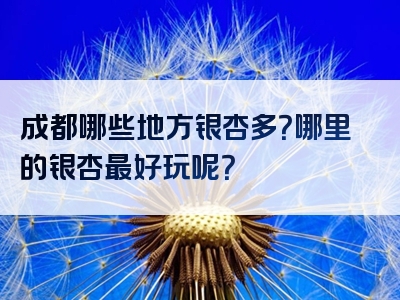 成都哪些地方银杏多？哪里的银杏最好玩呢？