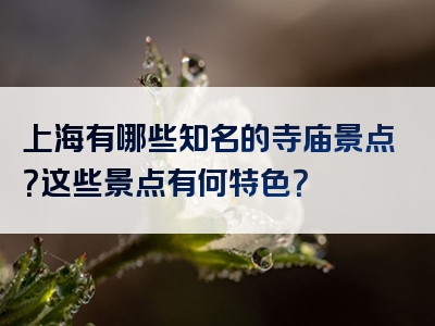 上海有哪些知名的寺庙景点？这些景点有何特色？