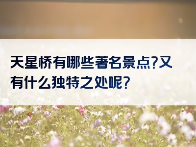 天星桥有哪些著名景点？又有什么独特之处呢？